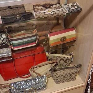 Coach Multicolor Stripe Clutch